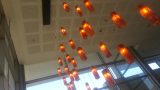 20130822_173307 (2)