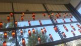 20130822_173337 (2)