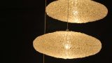 _DSC0584